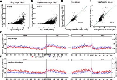 RNA Secondary Structurome Revealed Distinct Thermoregulation in Plasmodium falciparum